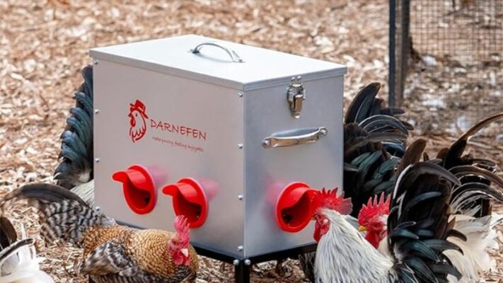 40–50-lb-Chicken-Feeders-8
