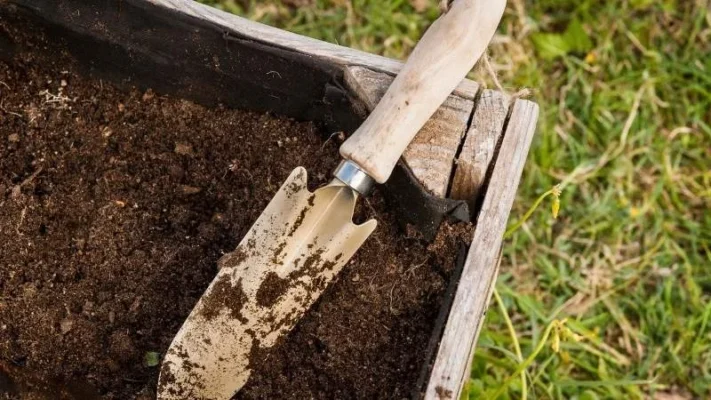 Best-materials-for-raised-garden-beds-3