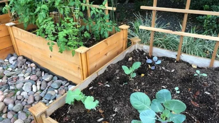 Best-materials-for-raised-garden-beds-5