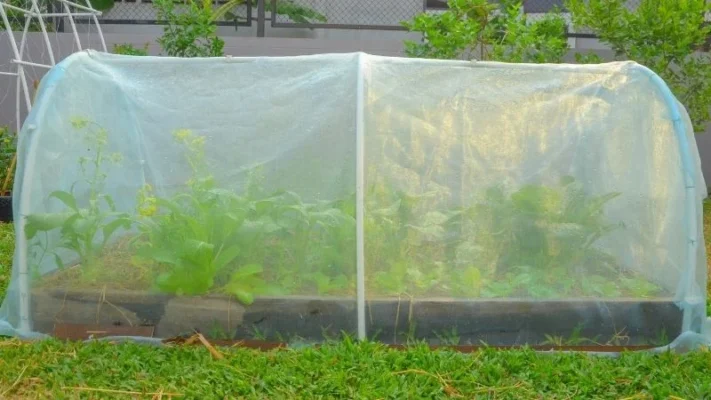Best-materials-for-raised-garden-beds-6