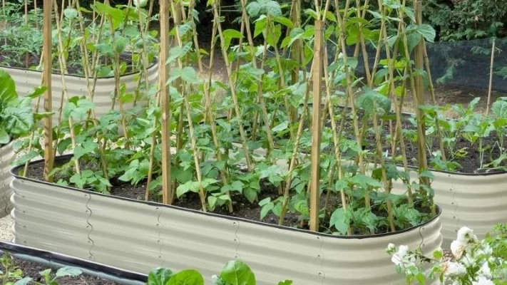 Best-materials-for-raised-garden-beds-7