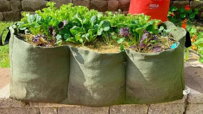Best-materials-for-raised-garden-beds-8