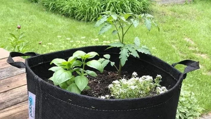 Fabric-raised-beds-1