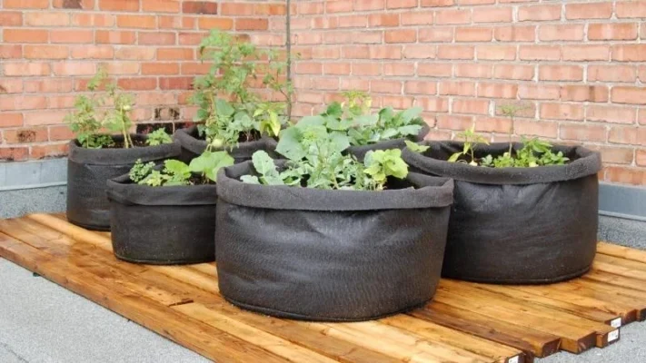 Fabric-raised-beds-2