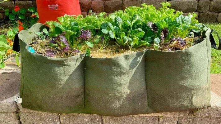 Fabric-raised-beds-5