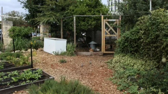 Rat-proof-chicken-feeder-3
