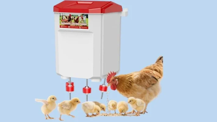 Rat-proof-chicken-feeder-5