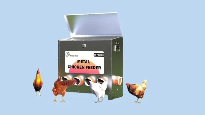 Rat-proof-chicken-feeder-6