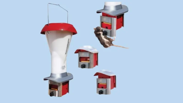 Rat-proof-chicken-feeder-7
