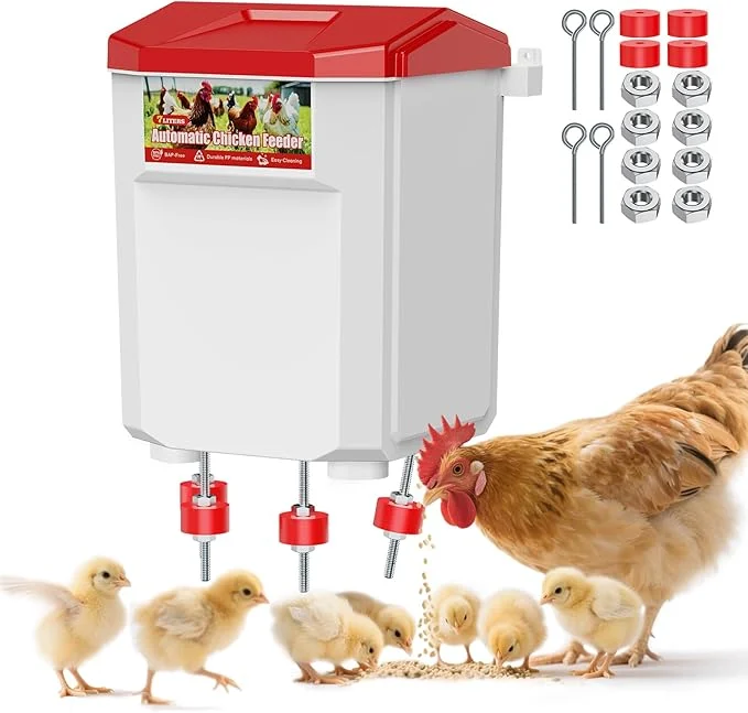 chicken-feeder-5