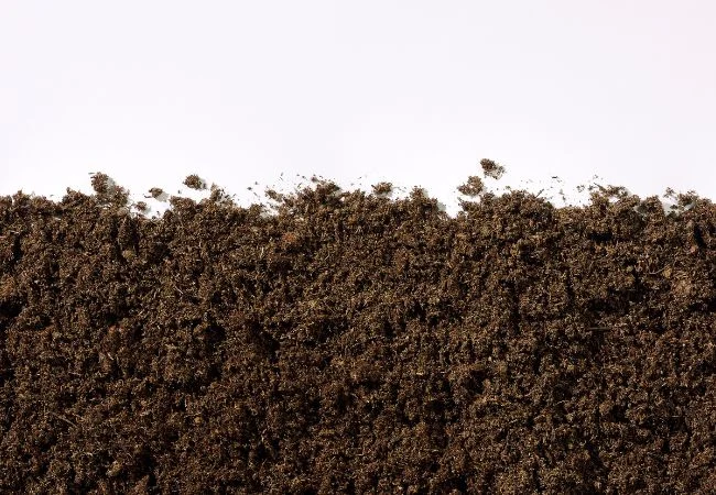how-to-make-a-compost-pile-6